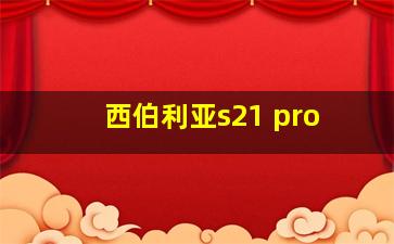 西伯利亚s21 pro